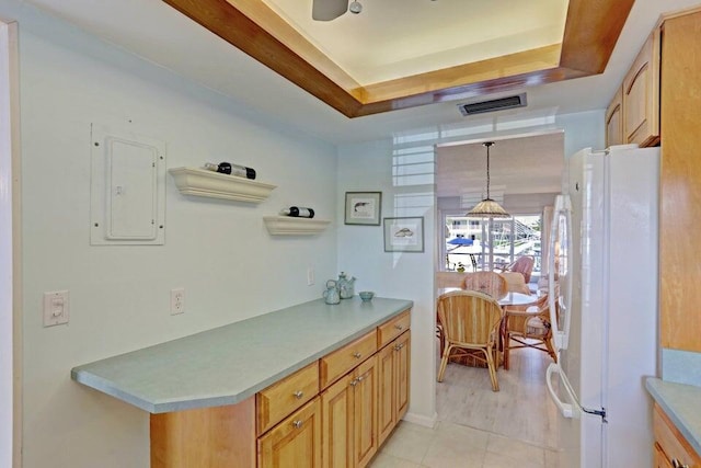 bathroom featuring hardwood / wood-style floors, a raised ceiling, and electric panel