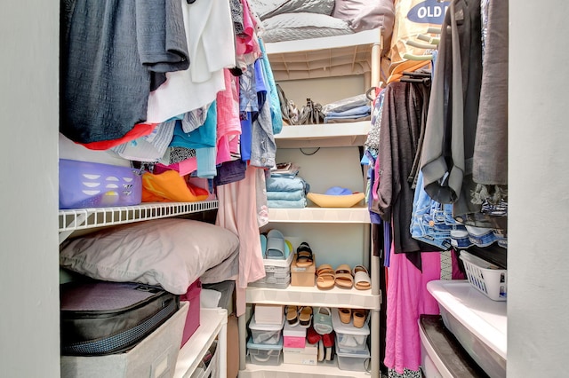 view of walk in closet