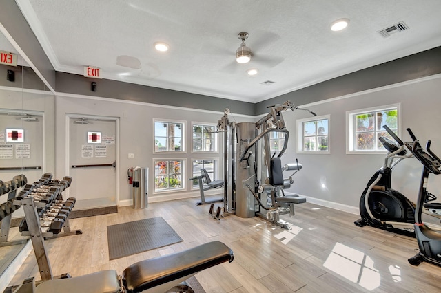 workout area featuring crown molding, ceiling fan, and light hardwood / wood-style flooring