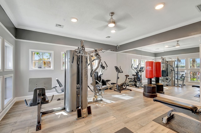 exercise room featuring crown molding, light hardwood / wood-style flooring, and ceiling fan