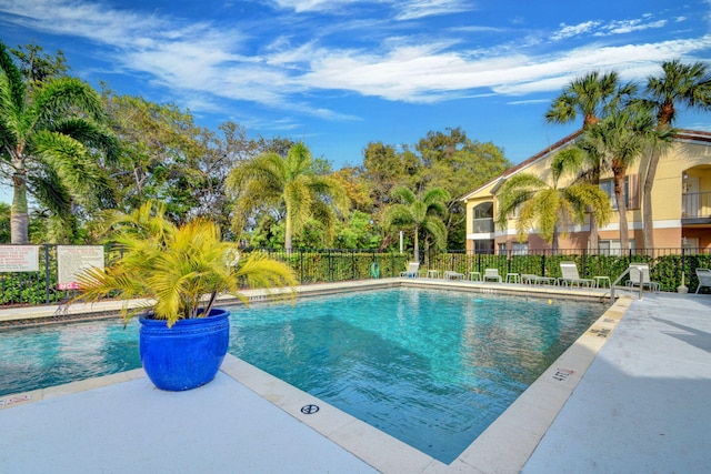 view of pool featuring a patio