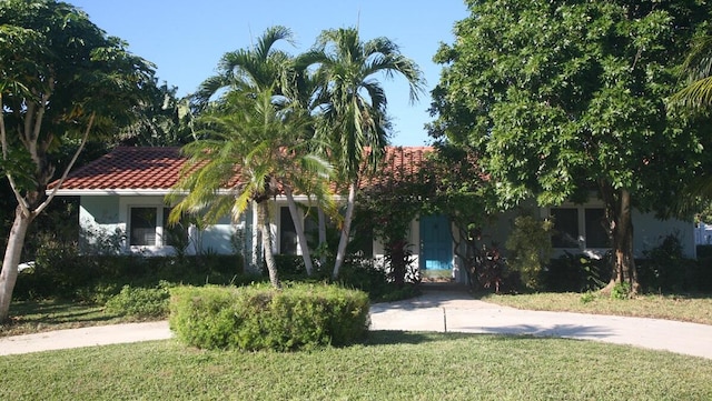 obstructed view of property with a front lawn