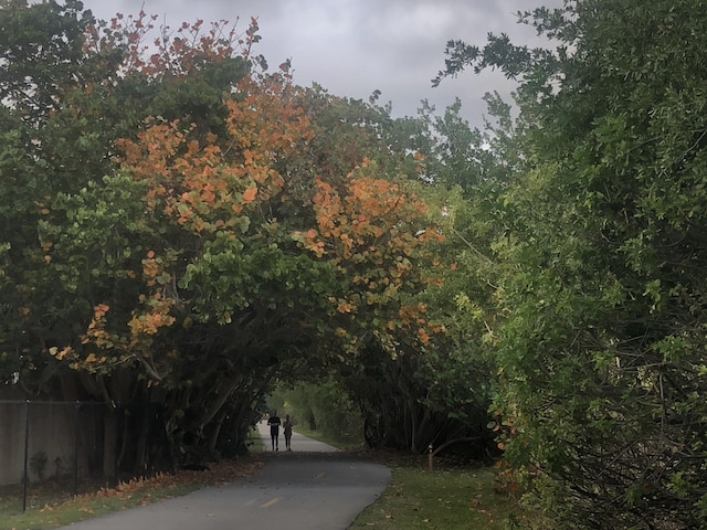 view of road