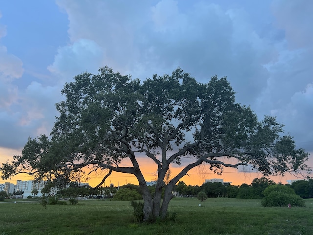 view of nature at dusk