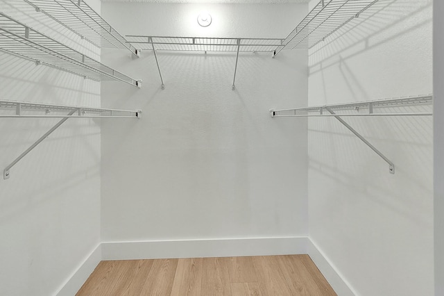 spacious closet featuring wood finished floors