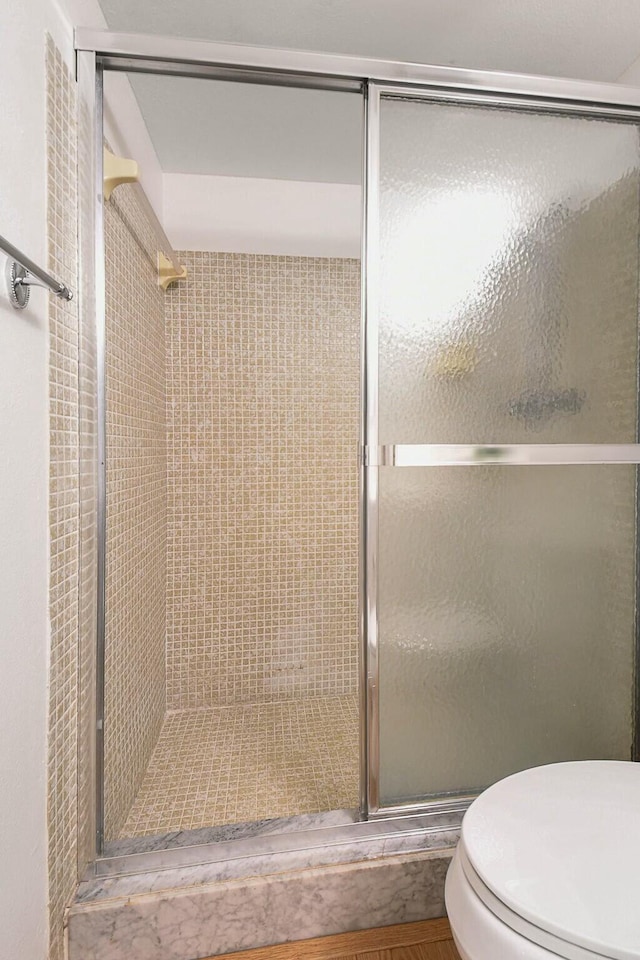 bathroom with a shower stall and toilet