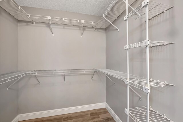 spacious closet featuring hardwood / wood-style floors