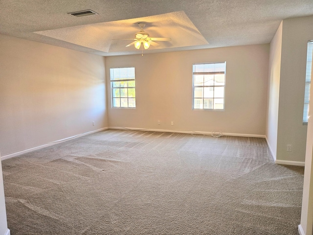 spare room with a tray ceiling, carpet flooring, and a healthy amount of sunlight