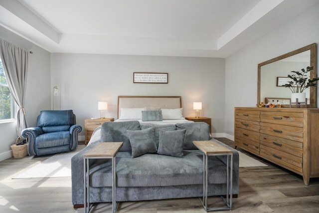 bedroom featuring wood-type flooring and a raised ceiling