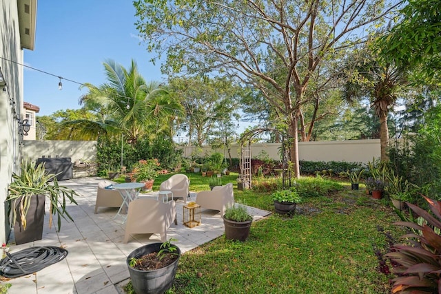 view of yard with a patio