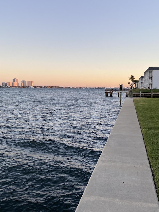 dock area with a water view