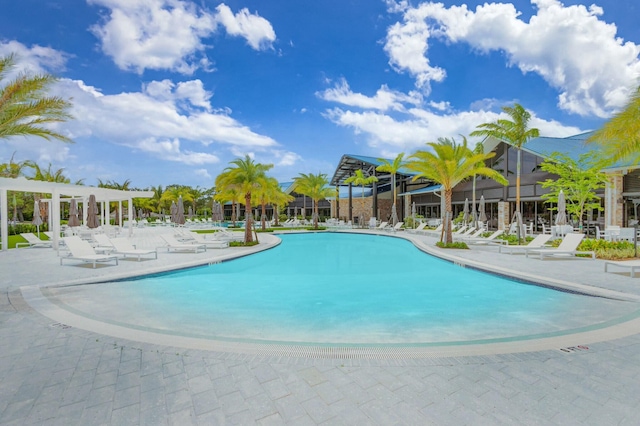 view of swimming pool featuring a patio area