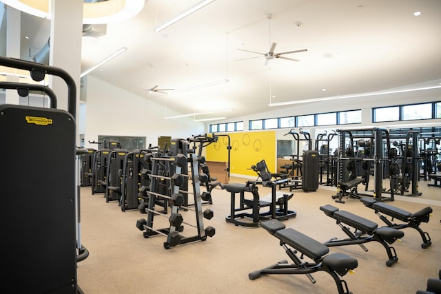 exercise room featuring ceiling fan and lofted ceiling