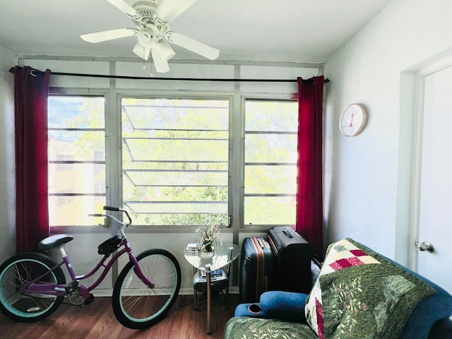 sitting room with ceiling fan, plenty of natural light, and wood-type flooring