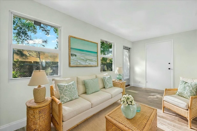 living room with a healthy amount of sunlight and wood-type flooring