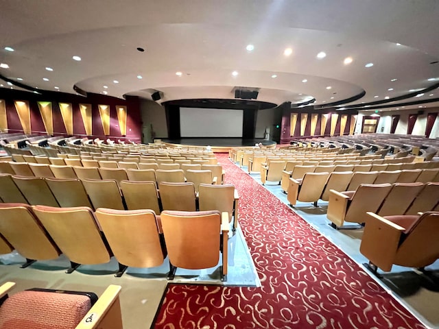 view of carpeted home theater