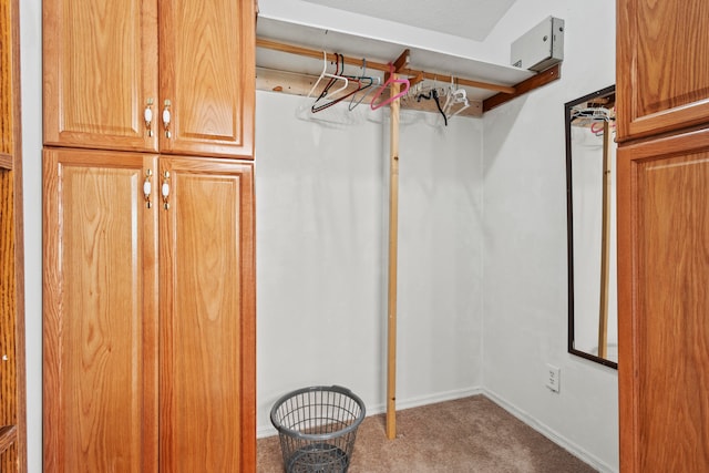 spacious closet with carpet floors