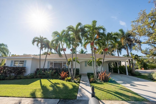 ranch-style house with a carport, concrete driveway, a front lawn, and stucco siding