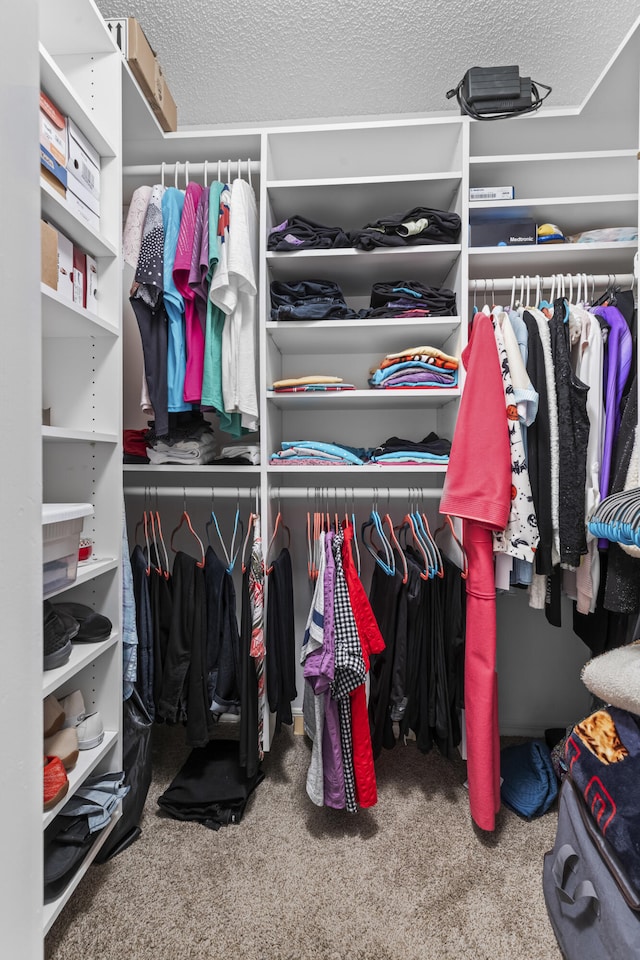 spacious closet with carpet flooring