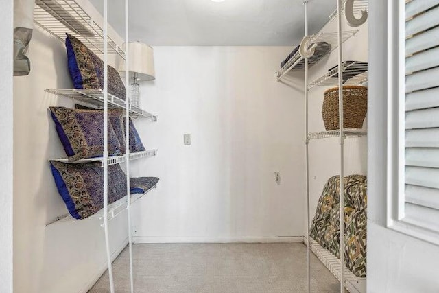 walk in closet with light colored carpet