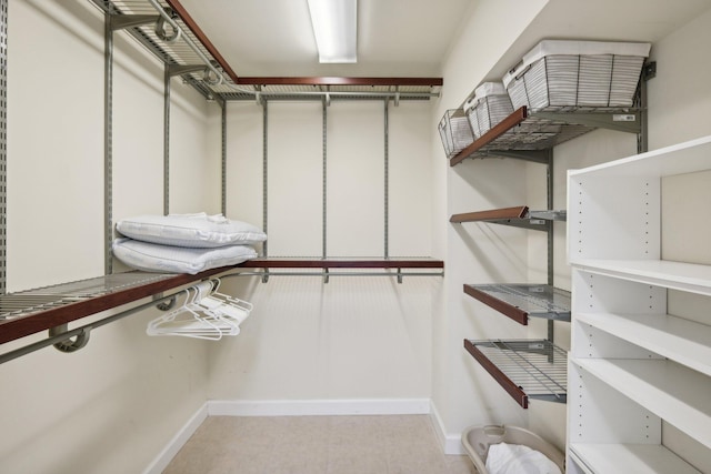 view of spacious closet