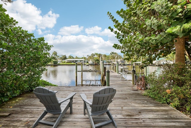 dock area with a water view