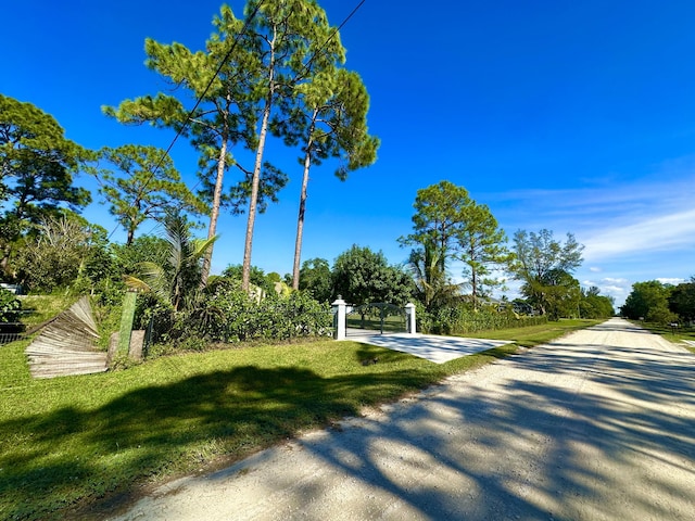 surrounding community featuring a yard