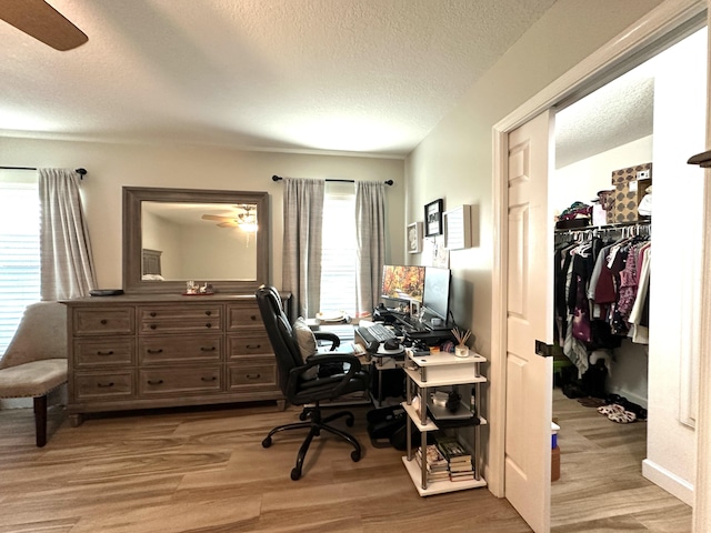 office space with light hardwood / wood-style flooring and a textured ceiling