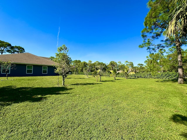 view of yard