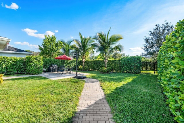 view of yard featuring a patio area