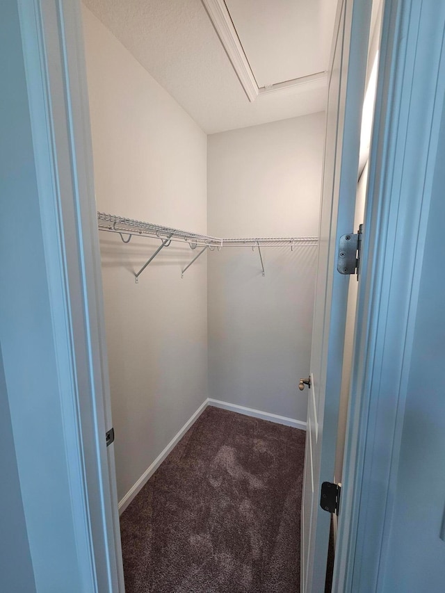 walk in closet with dark carpet