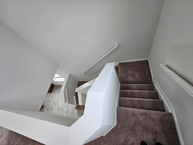 stairway featuring carpet