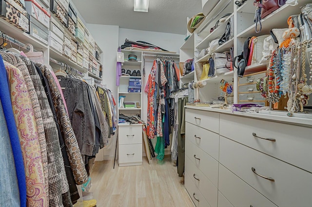 spacious closet with light wood finished floors