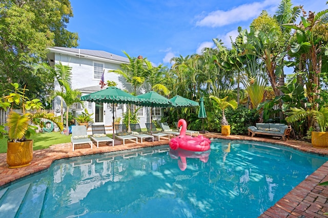 view of swimming pool with a patio