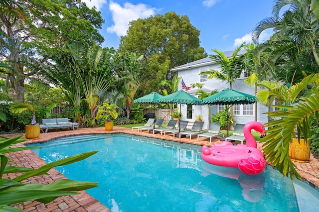 view of swimming pool featuring a patio area