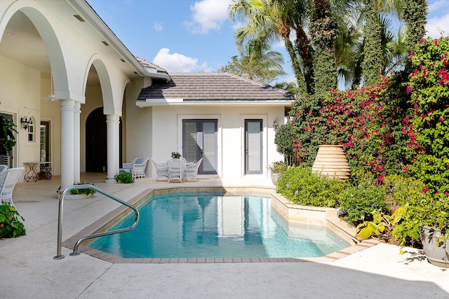 view of swimming pool with a patio