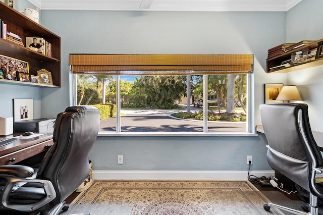 office space featuring a wealth of natural light and crown molding