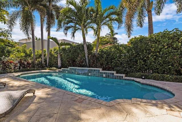 view of swimming pool