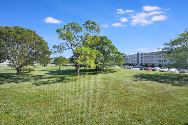 view of home's community with a yard