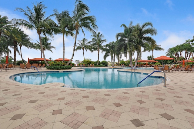 view of pool with a patio area