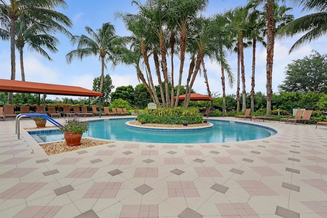 view of pool with a patio