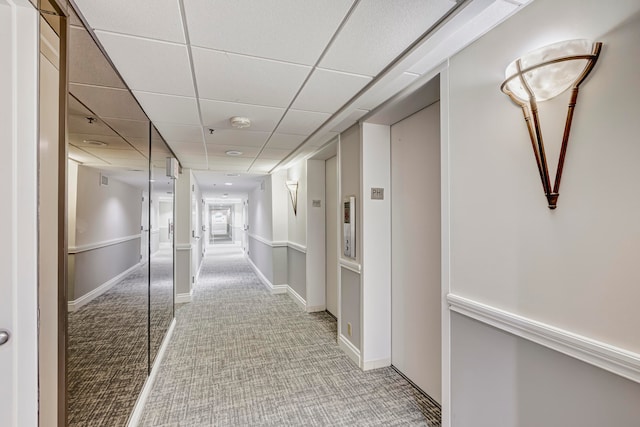 corridor with carpet and a drop ceiling