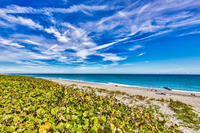 water view featuring a beach view