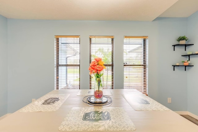 dining room featuring a textured ceiling and a wealth of natural light