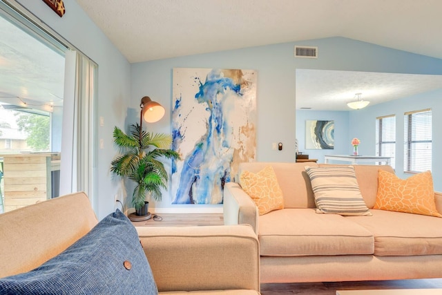 living room featuring lofted ceiling and a textured ceiling