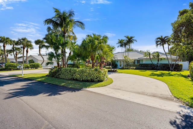 view of front of house with a front lawn