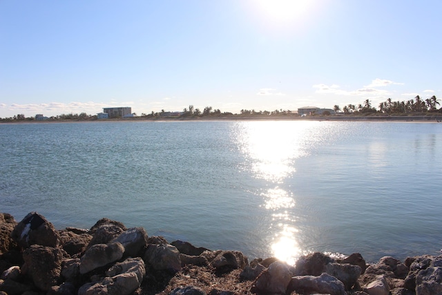 view of water feature