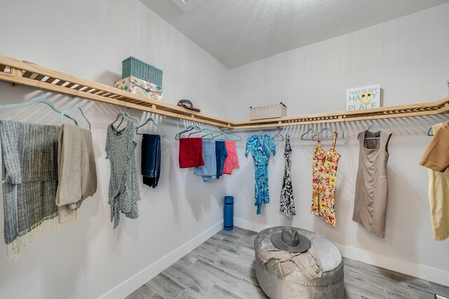 walk in closet featuring hardwood / wood-style flooring