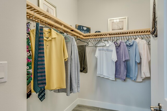 spacious closet with wood-type flooring