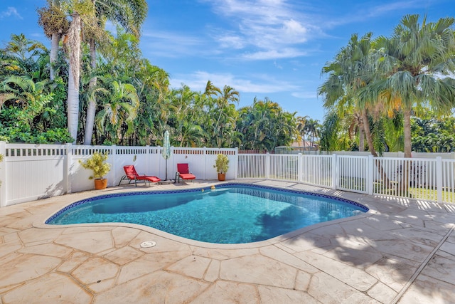 view of pool with a patio